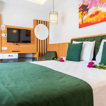 Mogons Exclusive Калкан