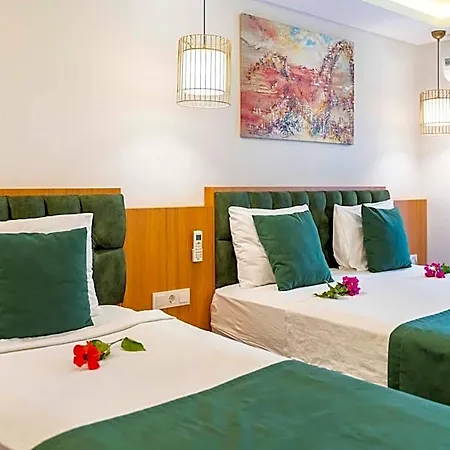 Mogons Exclusive Kalkan